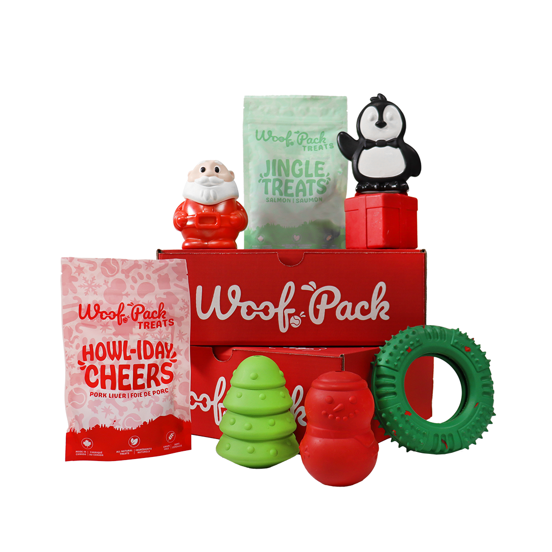 Woof Pack Durable Christmas Box – 6 Durable Toys & 2 Healthy Treats