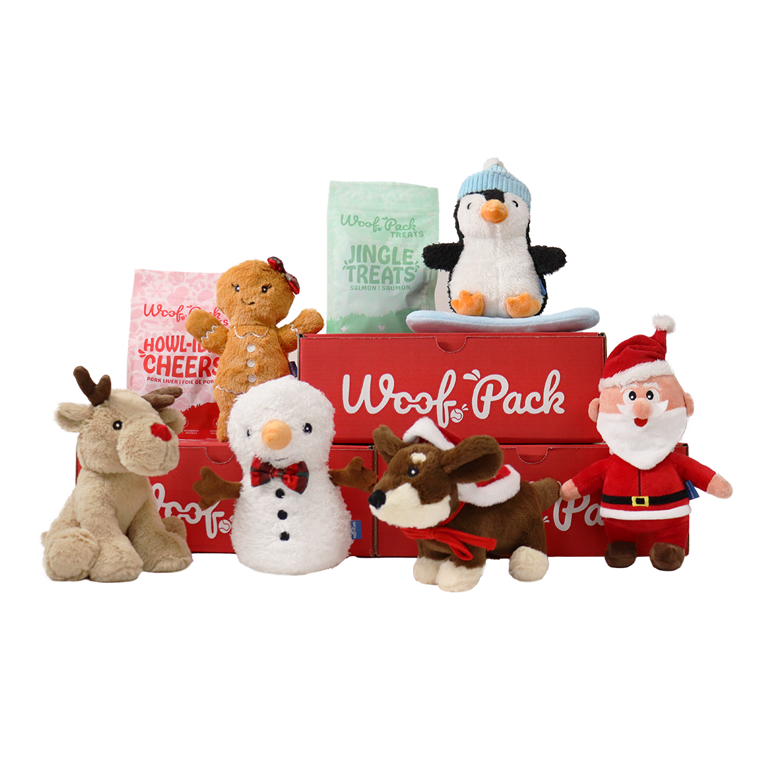 Woof Pack Christmas Box – 6 Toys & 2 Natural Treats