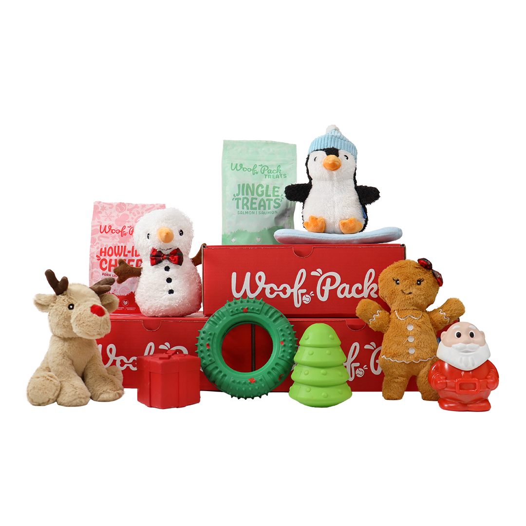 Woof Pack Combo Christmas Box – Plush & Durable Toy Mix + 2 Treats