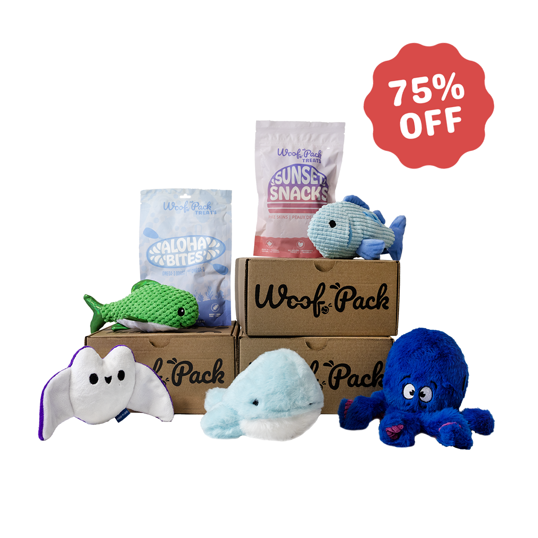 6 Month Subscription: 75% Off 1st Box