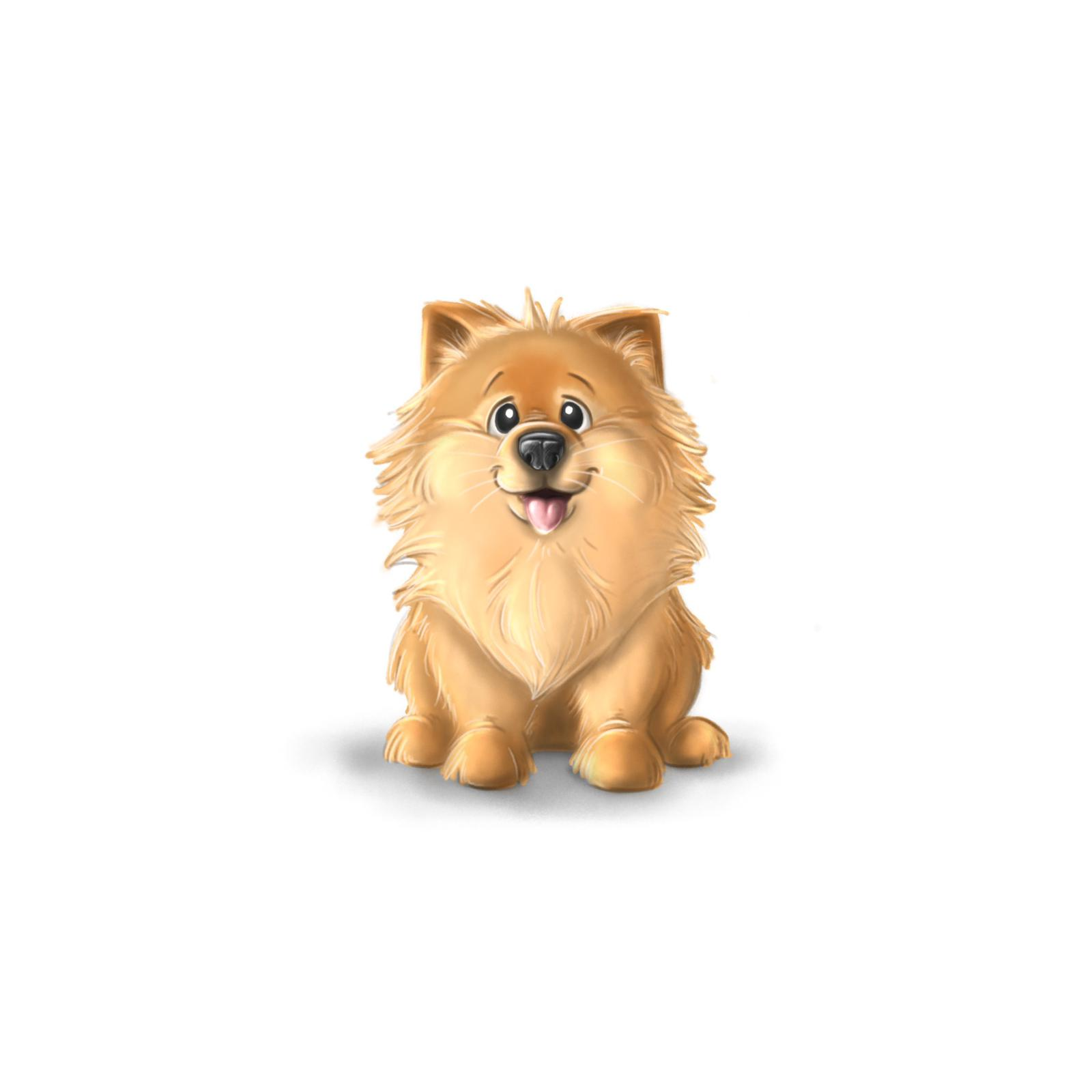 Small (0-20lbs)