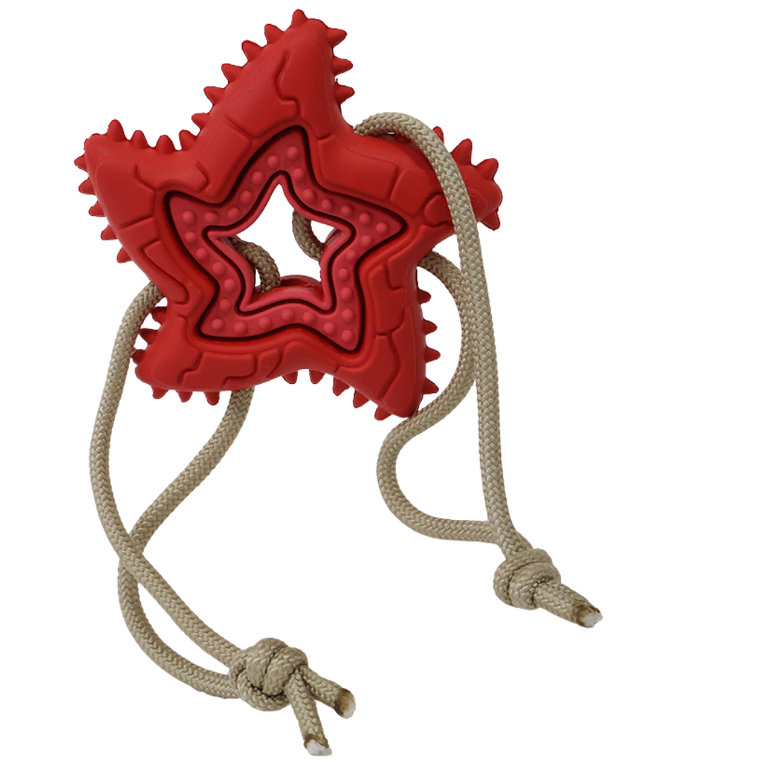 Woof Plays - Starfish w/ String