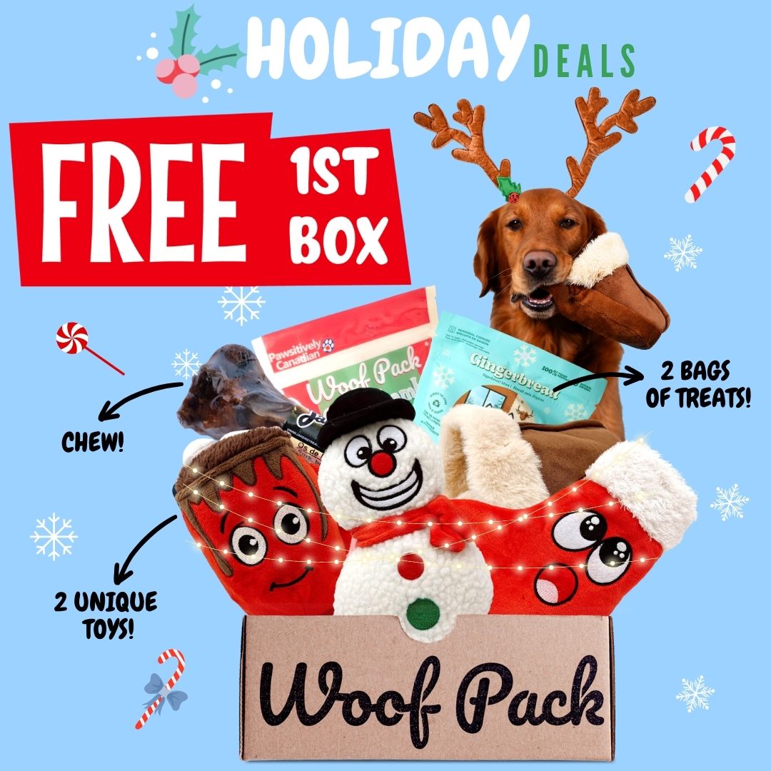 Puppy Gift Box - Woofbox - Gift Boxes and Monthly Subscriptions