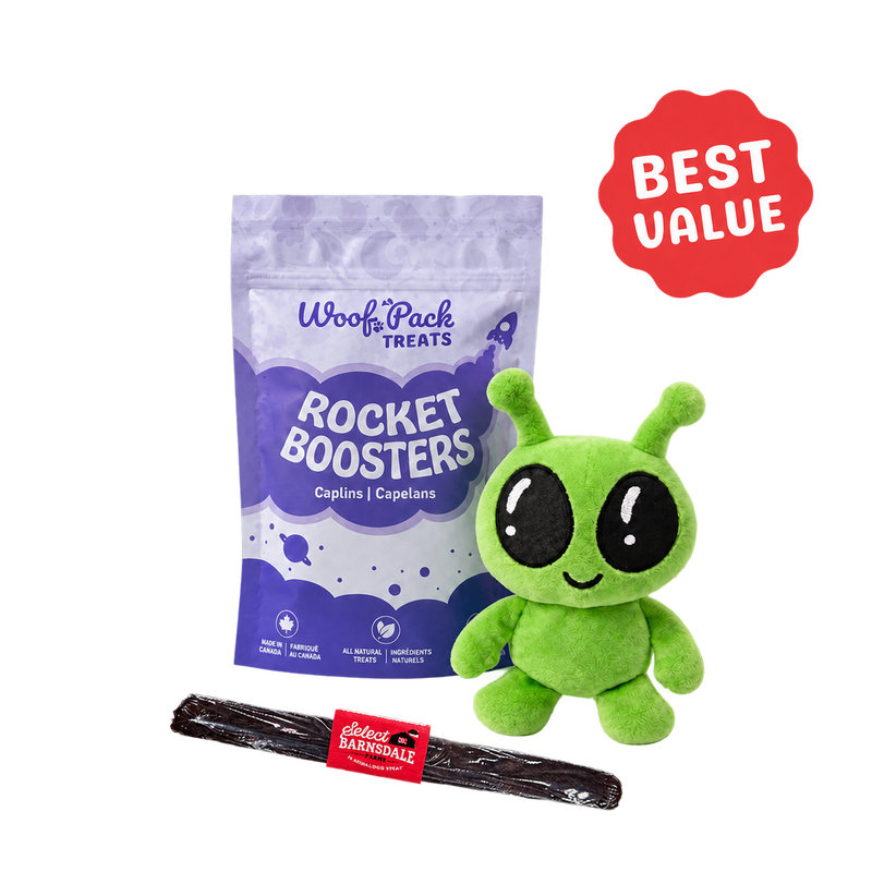 Bundle