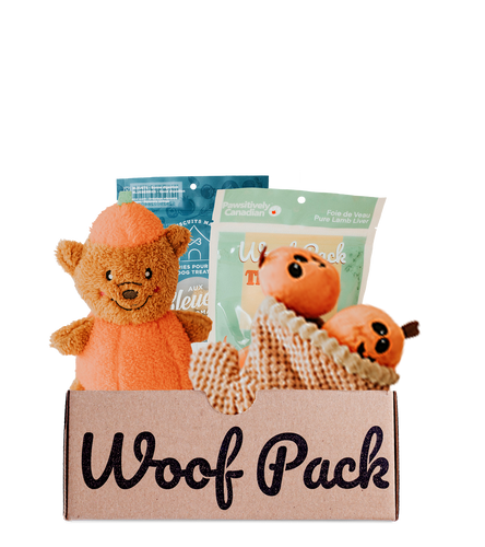 Woof Pack Halloween Dog Box