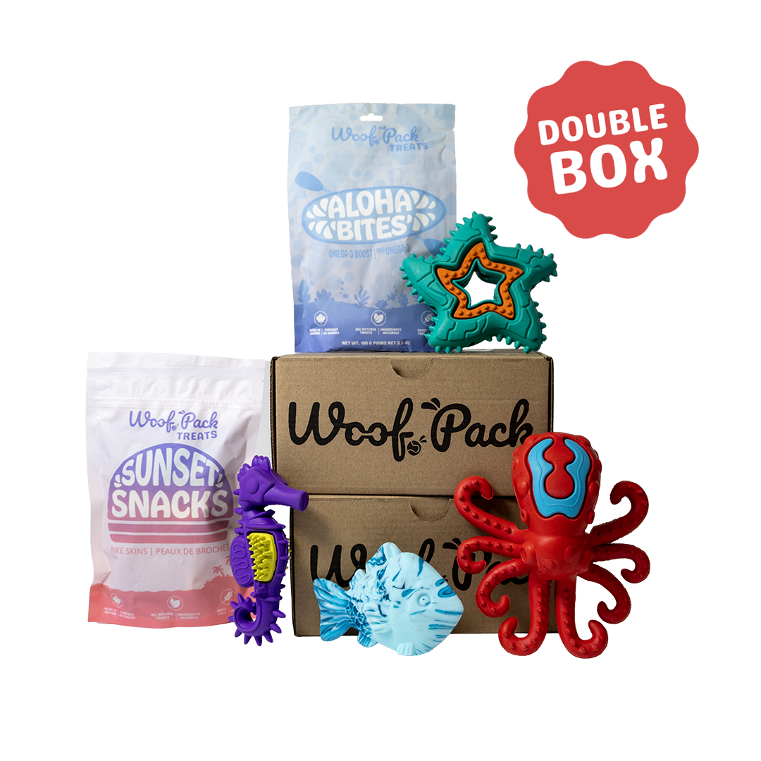6 Month Subscription: Chewer Double 1st Box